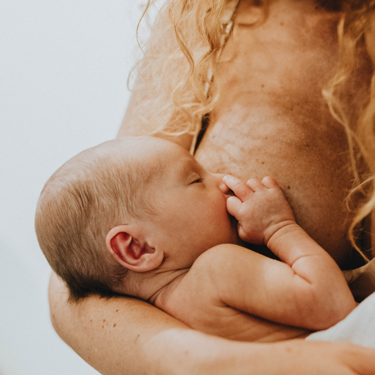 untitled design (24)